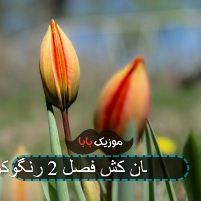آهنگ شیطان کش فصل 2 رنگوکو