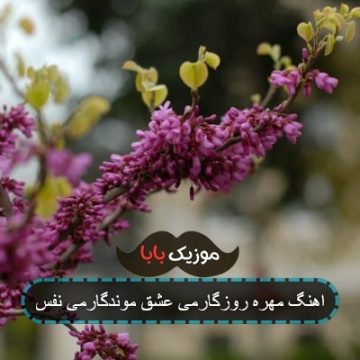 اهنگ مهره مار روزگارمی با گیتار