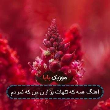 آهنگ همه جات بزارن من که نمردم