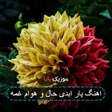آهنگ جدید علی احمدیانی بیا منه ببین حال هوام غمه