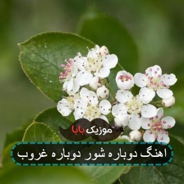 اهنگ دوباره شور دوباره غروب