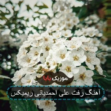 آهنگ رفت علی احمدیانی ریمیکس