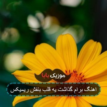 اهنگ برام گذاشت یه قلب بنفش ریمیکس