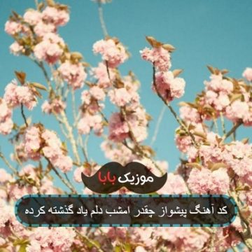 آهنگ چقدر امشب دلم یاد گذشته کرده ریمیکس