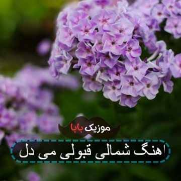 اهنگ شمالی قبولی می دل