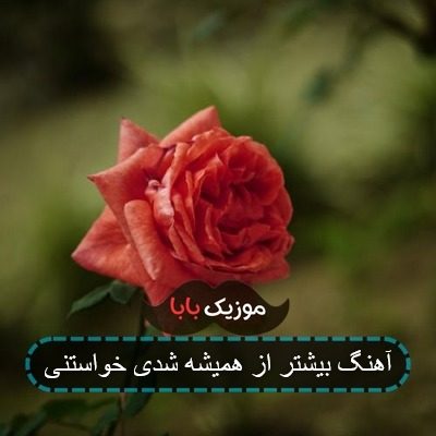 اهنگ دوست صمیمیت صمیمیه با من اهنگ دوست صمیمیت صمیمیه با من