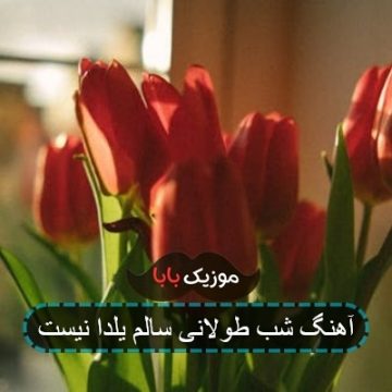 آهنگ شب طولانی سالم یلدا نیست