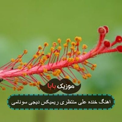 اهنگ خنده علی منتظری ریمیکس دیجی سونامی اهنگ خنده علی منتظری ریمیکس دیجی سونامی