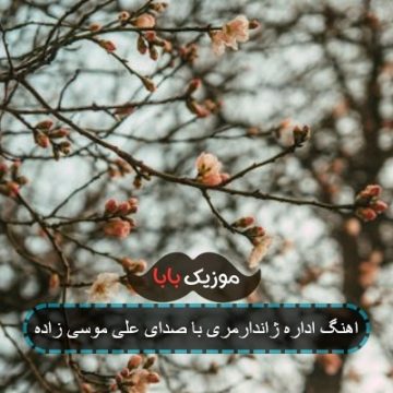 اهنگ اداره ژاندارمری با صدای علی موسی زاده