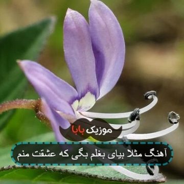 آهنگ مثلا بیای بغلم بگی که عشقت منم