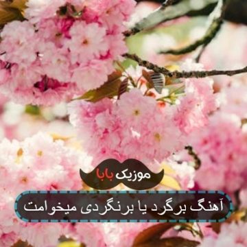 آهنگ برگرد یا برنگردی میخوامت