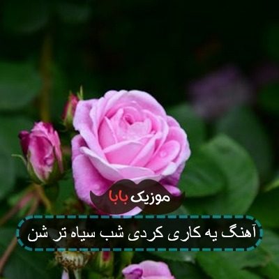 آهنگ یه کاری کردی شب سیاه تر شن