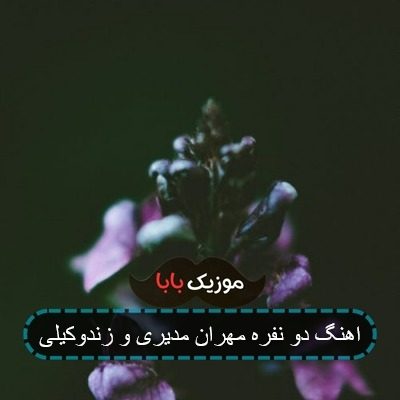 اهنگ دو نفره مهران مدیری و زندوکیلی اهنگ دو نفره مهران مدیری و زندوکیلی