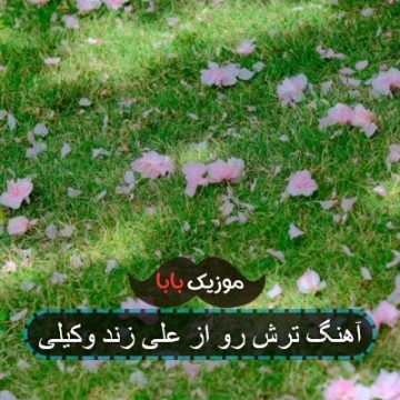 آهنگ ترش رو از علی زند وکیلی آهنگ ترش رو از علی زند وکیلی