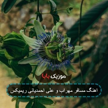 اهنگ مسافر مهراب و علی احمدیانی ریمیکس
