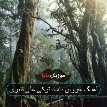 آهنگ عروس داماد ترکی علی قنبری آهنگ عروس داماد ترکی علی قنبری