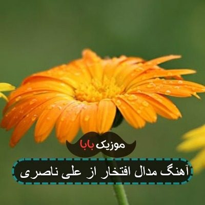 آهنگ مدال افتخار از علی ناصری