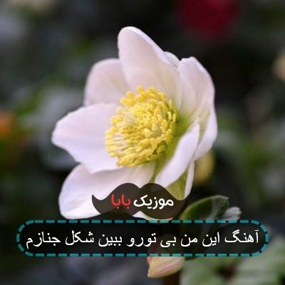 آهنگ این من بی تورو ببین شکل جنازم
