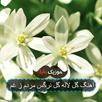 آهنگ گل لاله گل نرگس مردم ز غم