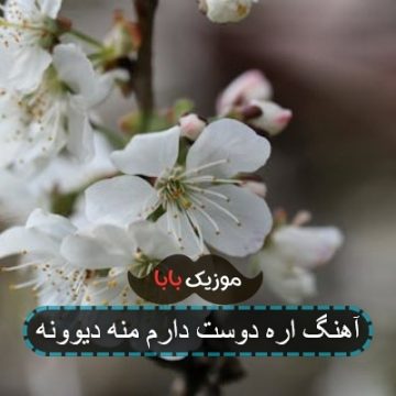 آهنگ اره دوست دارم منه دیوونه
