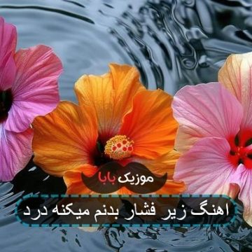 آهنگ زیر دکل فشار میکنه بدنم درد ریمیکس