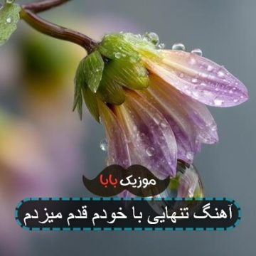 آهنگ تنهایی با خودم قدم میزدم آهنگ تنهایی با خودم قدم میزدم