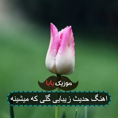 اهنگ حدیث زیبایی گلی که میشینه