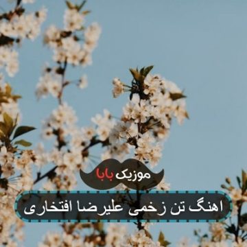 آهنگ طرح زخم یه قناری توی کابوسی که مرده