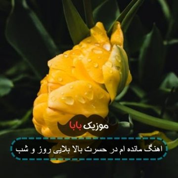 مانده ام در حسرت بالا بلایی روز و شب