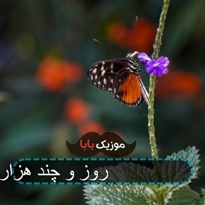 آهنگ یازده ماه و ۲۹ روز و چند هزار ساعت آهنگ یازده ماه و ۲۹ روز و چند هزار ساعت
