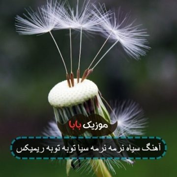 آهنگ سیاه نرمه نرمه سیا توبه توبه ریمیکس