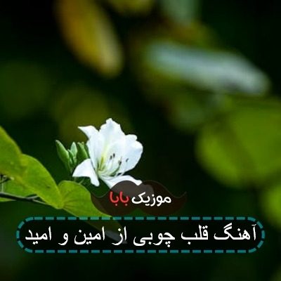 آهنگ قلب چوبی از امین و امید
