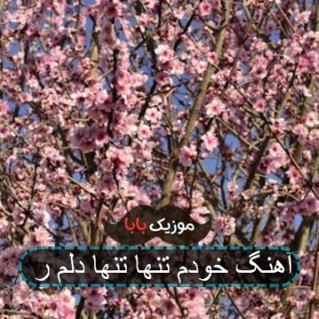 آهنگ خودم تنها تنها دلم ر