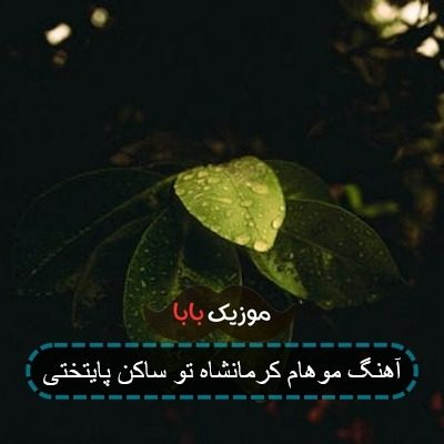 آهنگ موهام کرمانشاه تو ساکن پایتختی آهنگ موهام کرمانشاه تو ساکن پایتختی