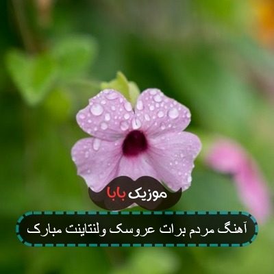 آهنگ مردم برات عروسک ولنتاینت مبارک