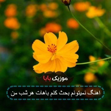 اهنگ نمیتونم بحث کنم باهات هرشب من