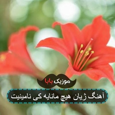 آهنگ ژیان هیچ مانایه کی نامینیت آهنگ ژیان هیچ مانایه کی نامینیت