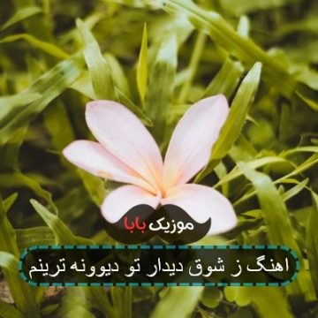اهنگ ز شوق دیدار تو دیوونه ترینم اهنگ ز شوق دیدار تو دیوونه ترینم