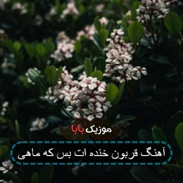 آهنگ قربون خنده ات بس که ماهی