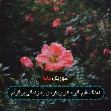 اهنگ قلبم گیره کاری کردی به زندگی برگردم