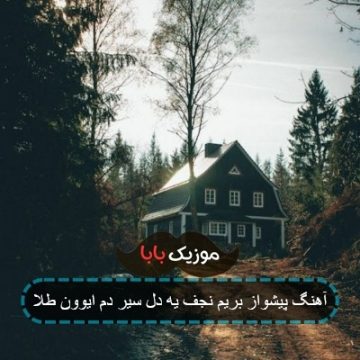 آهنگ پیشواز بریم نجف یه دل سیر دم ایوون طلا