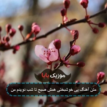 متن آهنگ پی خوشبختی همش صبح تا شب دویدم من