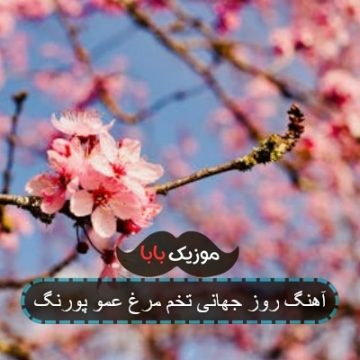 آهنگ روز جهانی تخم مرغ عمو پورنگ آهنگ روز جهانی تخم مرغ عمو پورنگ