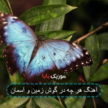 آهنگ هر چه در گوش زمین و آسمان