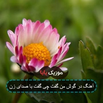 اهنگ در گوش من گفت رو پشت بوم گفت