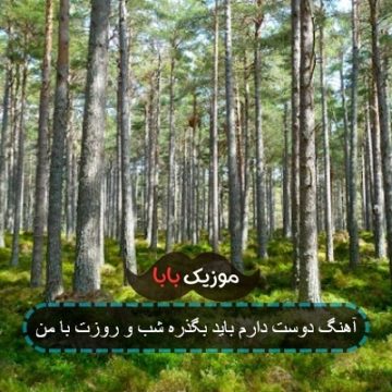 آهنگ دوست دارم باید بگذره شب و روزت با من آهنگ دوست دارم باید بگذره شب و روزت با من