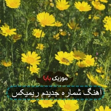 آهنگ شماره جدیدم ریمیکس آهنگ شماره جدیدم ریمیکس
