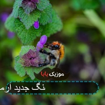 آهنگ جدید آرمین 2afm به نام میری برو