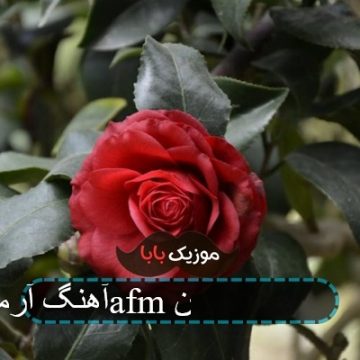 آهنگ آرمین 2afm همه دستا بره بالا پایین