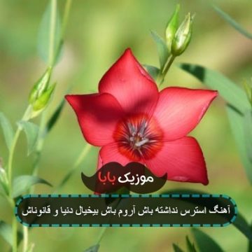 آهنگ دیوونه آرمین 2afm با کیفیت 320